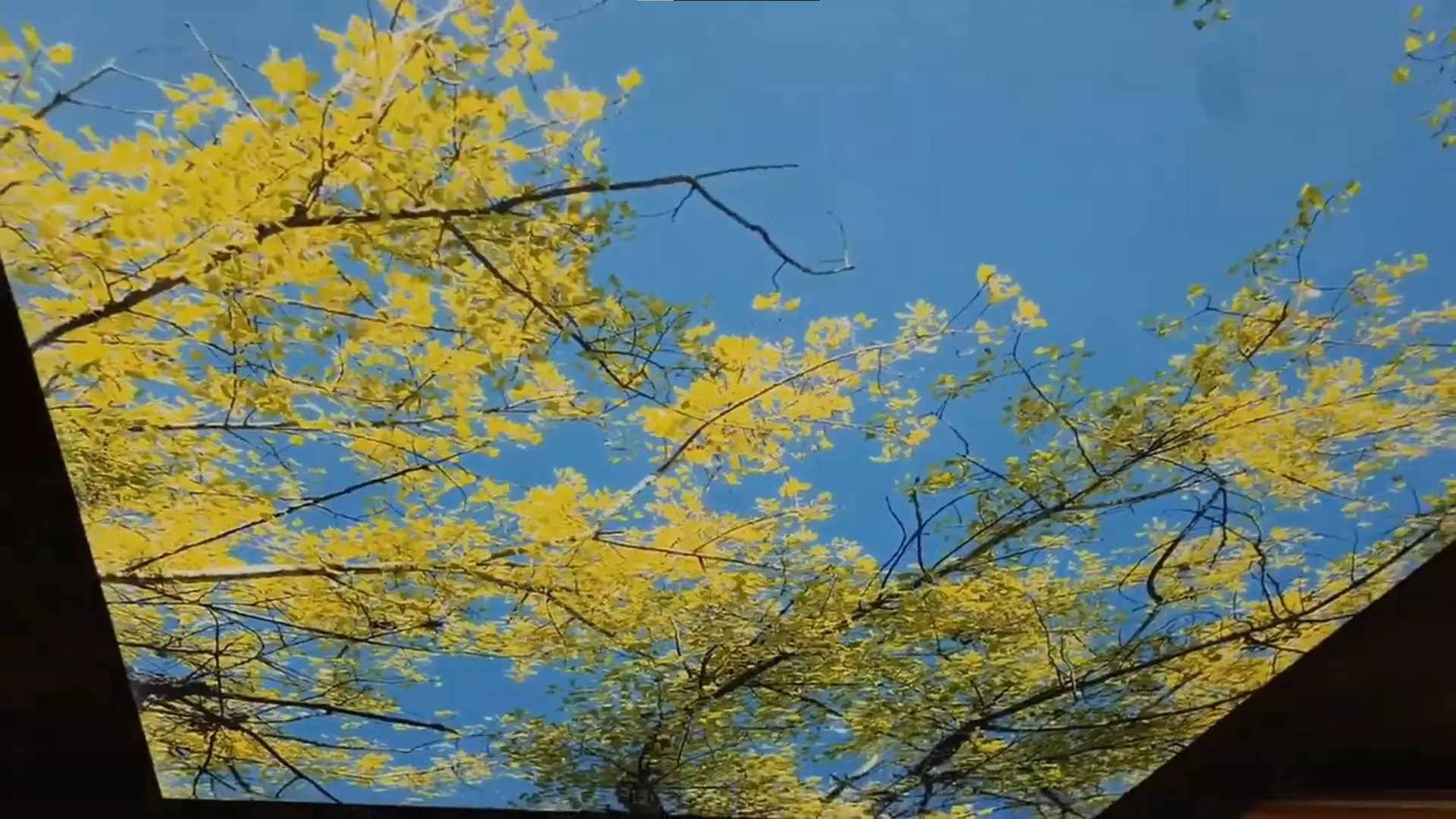Курск, Садовая, 38а, фото 2
